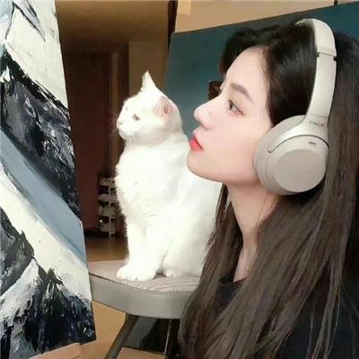 在这世界的角落